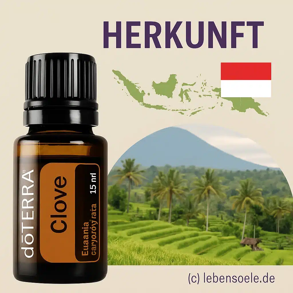 doTERRA Gewürznelke - Eugenia caryophyllata - Clove – Bild 3