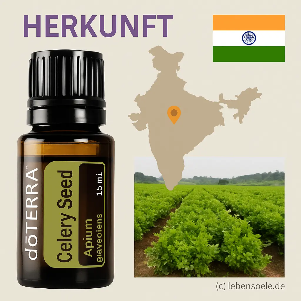 celery-ssed-15ml-herkunft