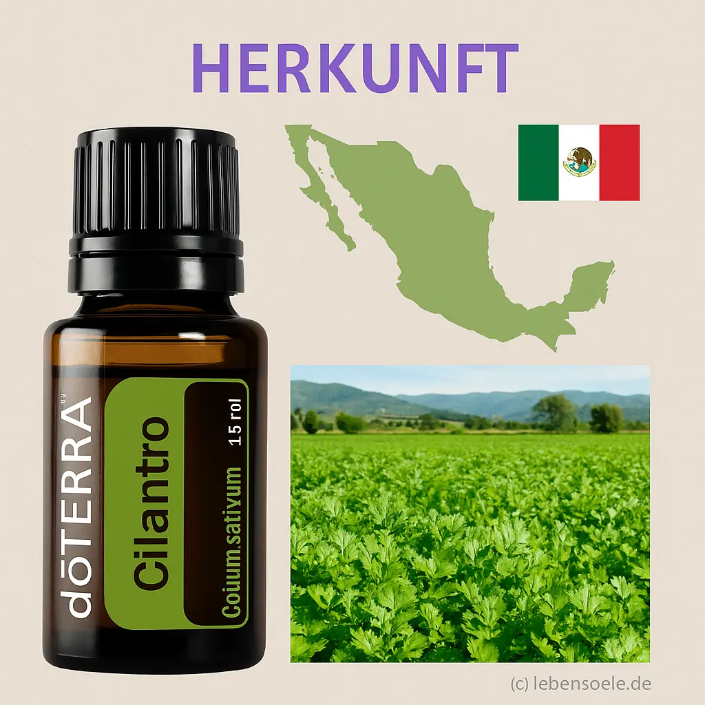 cilantro-15ml-herkunft