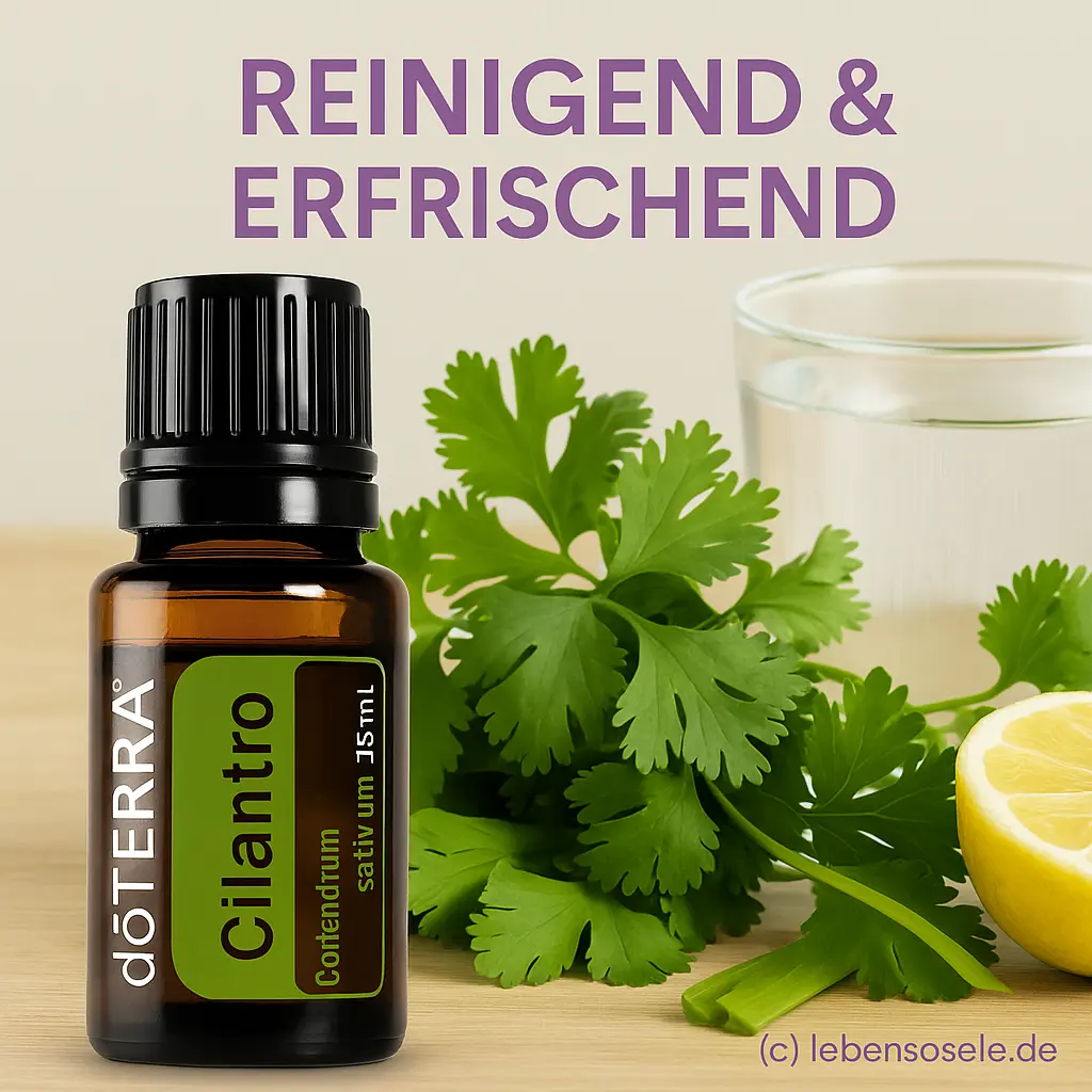 cilantro-15ml-lifestyle