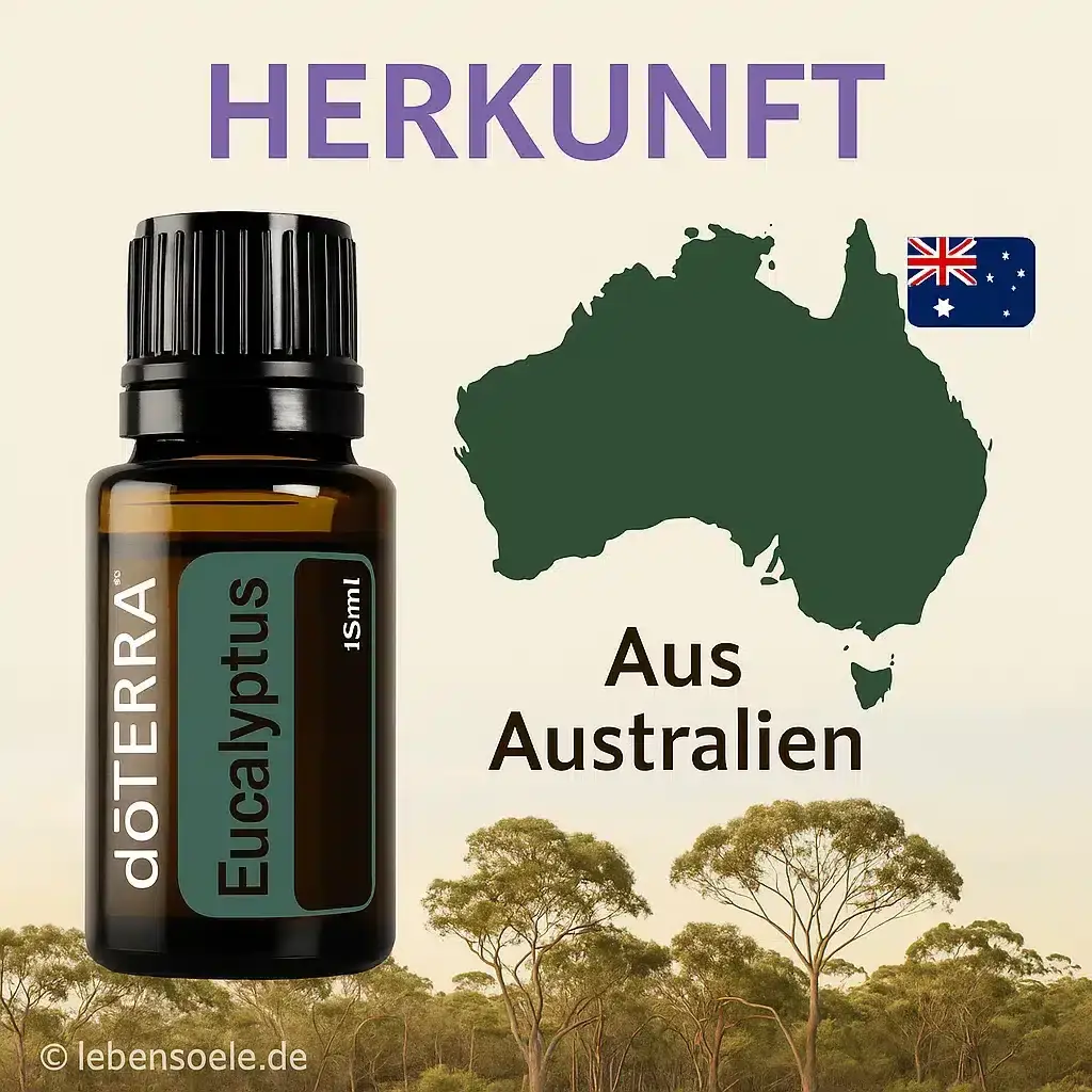 doTERRA Eukalyptus Herkunft