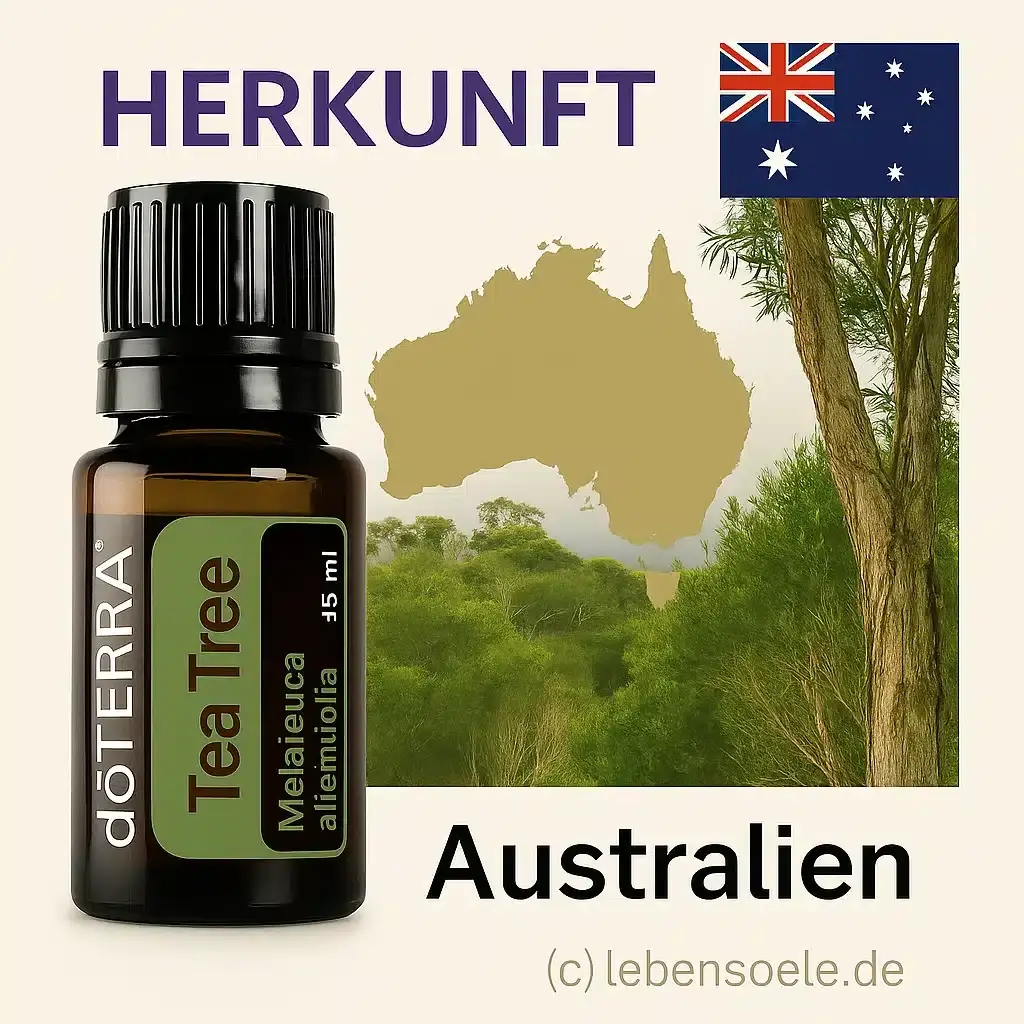 doTERRA Melaleuca Teebaumöl