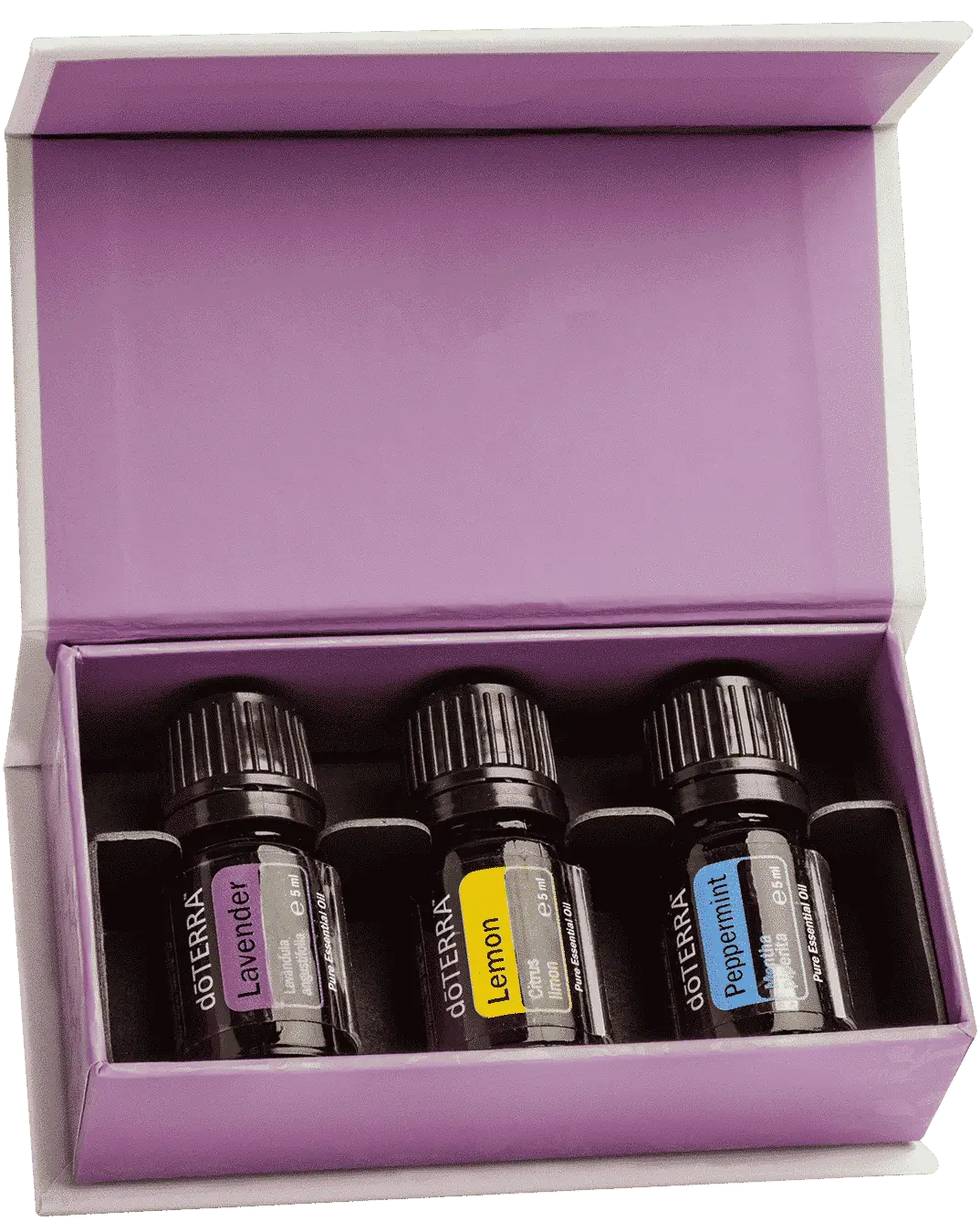 Introductory Kit